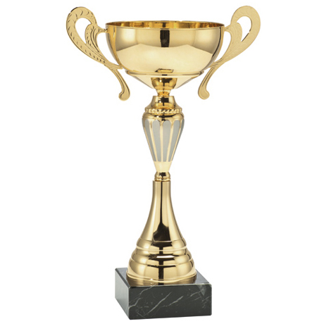 Pokal Udinese