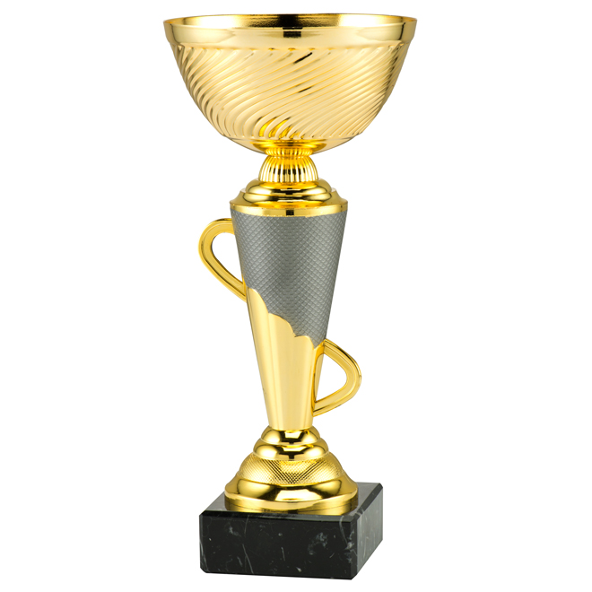 Pokal Hanoi