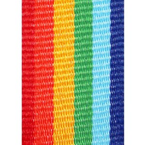 Band regnbåge/rainbow 22 mm